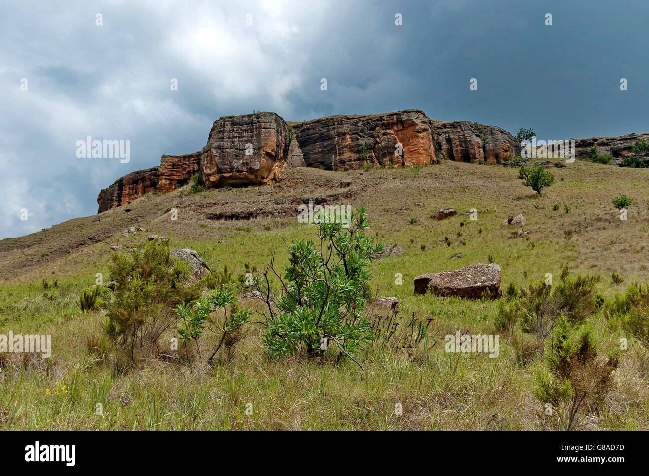 Giants Castle KwaZulu-Natal Naturschutzgebiet, Drakensberge Südafrika Stockfoto