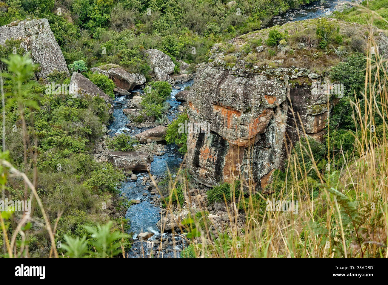 Bushmans River in der Giants Castle KwaZulu-Natal Natur reserve, Drakensberge Südafrika Stockfoto
