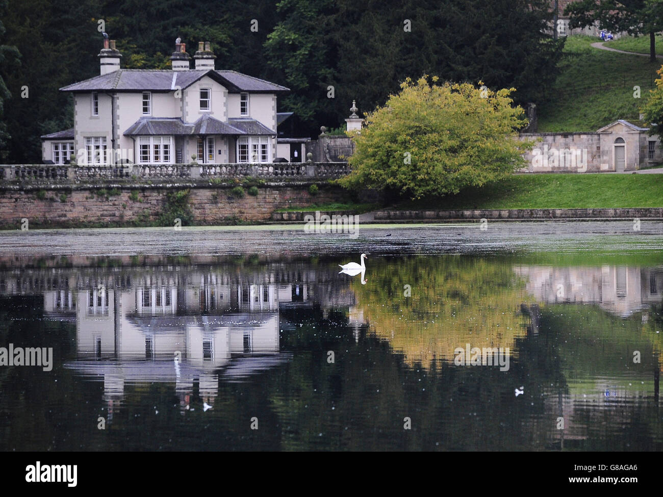 Eine morgendliche Besinnung im See im Studley Royal Park in der Nähe von Ripon in Yorkshire. Stockfoto