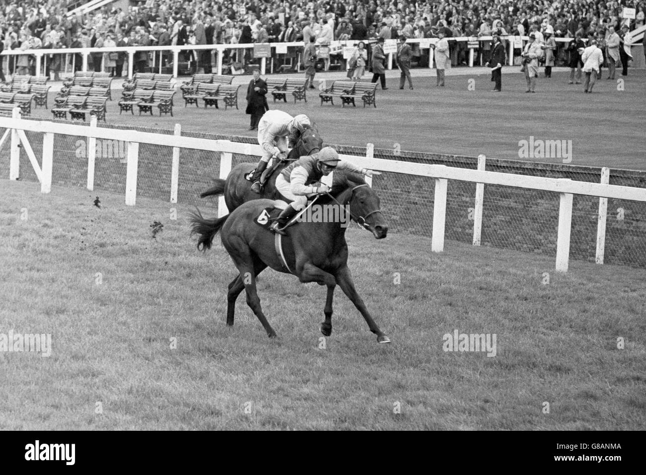 Rose Bowl (nächste Kamera), Willie Carson up, gewinnt von Gay Fandango, Lester Piggott up Stockfoto