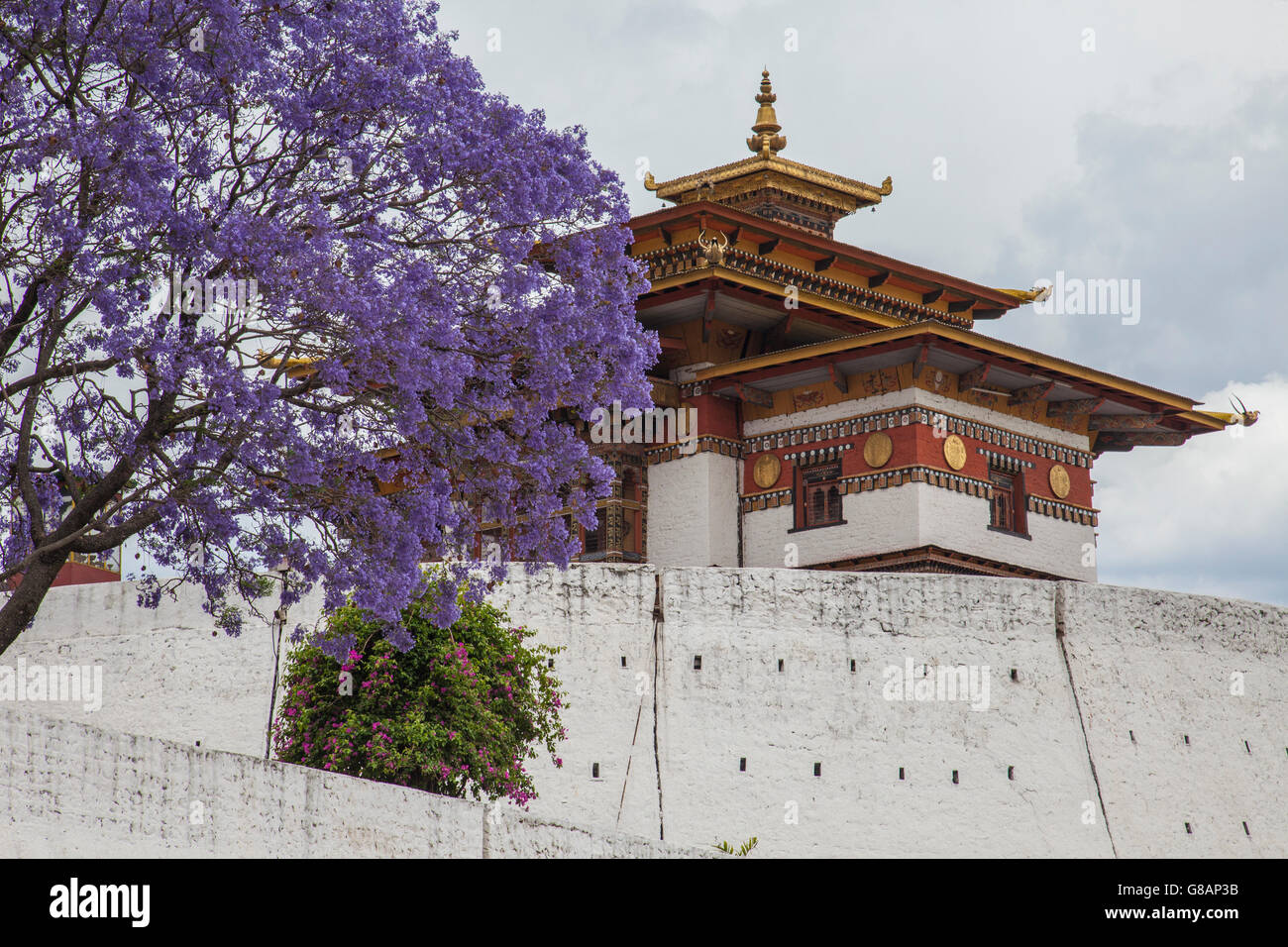 Ein blühender Baum als einen farbigen Hintergrund einer heiligen buddhistischen Tempel wangdue Thimpu bhutan Asien Stockfoto