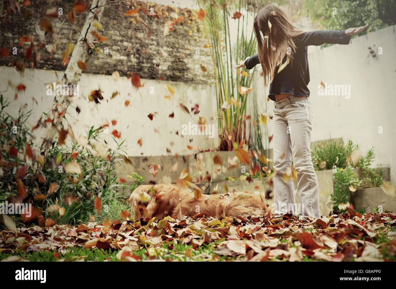 Mädchen und Hund spielen mit Herbstlaub im Garten Stockfoto