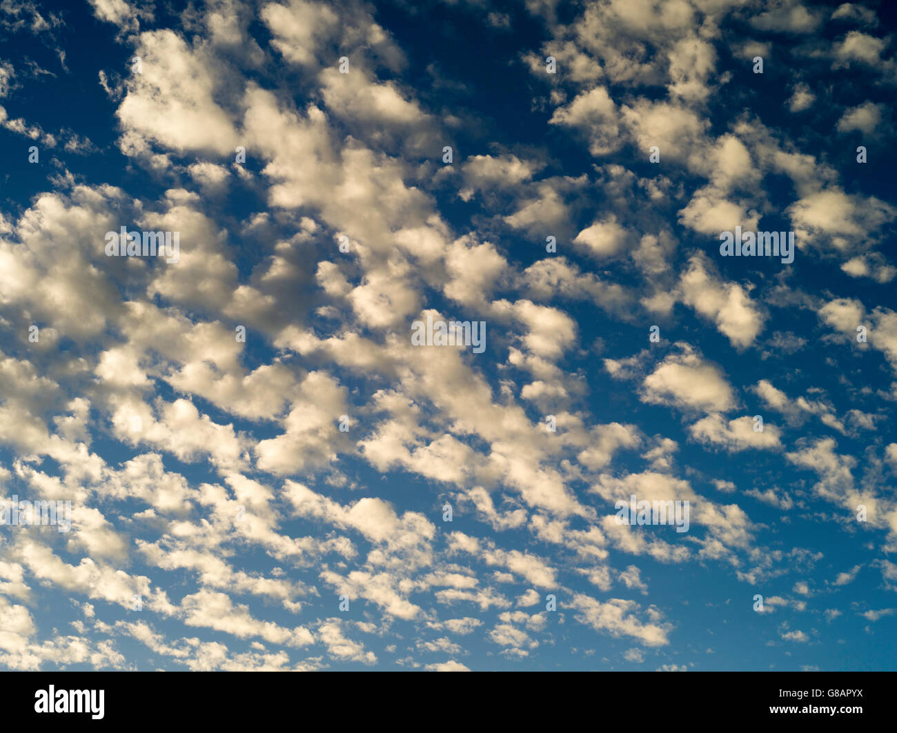 Geschwollene Abend Wolken über der Stadt von 1770, QLD, Australien Stockfoto