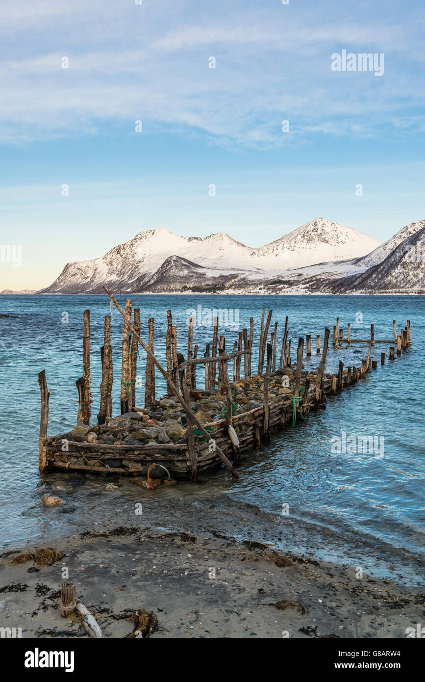 Kattfjord auf Kvaloya Island, Norwegen Stockfoto