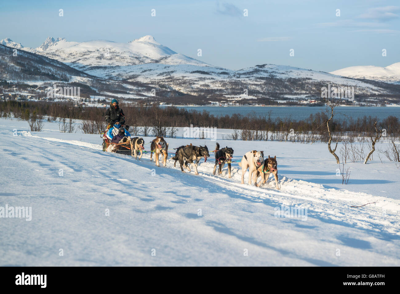 Hundeschlitten in Norwegen Stockfoto