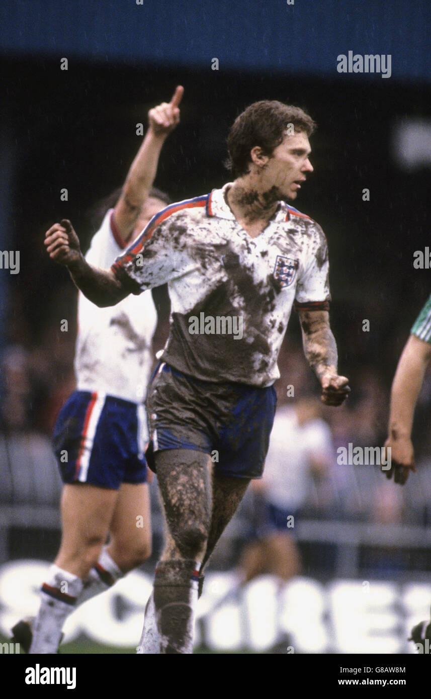 Fußball - European Championship Qualifier - Group One - Nordirland V England - Windsor Park Stockfoto