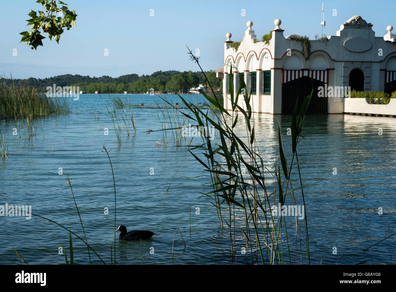 Estany de Banyoles, Pla de Estany, Girona, Katalonien, Katalonien Stockfoto