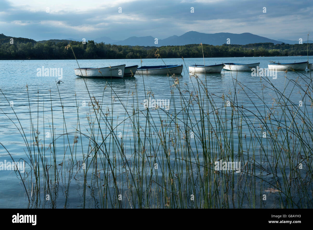 Estany de Banyoles, Pla de Estany, Girona, Katalonien, Katalonien Stockfoto