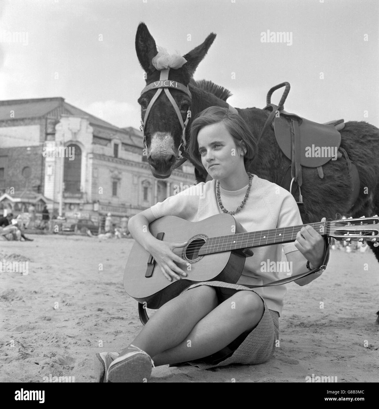 Vicki, der Esel, wird von der Musik der deutschen Studentin Heidi Heeren am Strand von Scarborough, Yorkshire, verzaubert. Heidi, die in Hull studiert, ist eine beliebte Folksängerin in Yorkshire Folk Clubs. Stockfoto