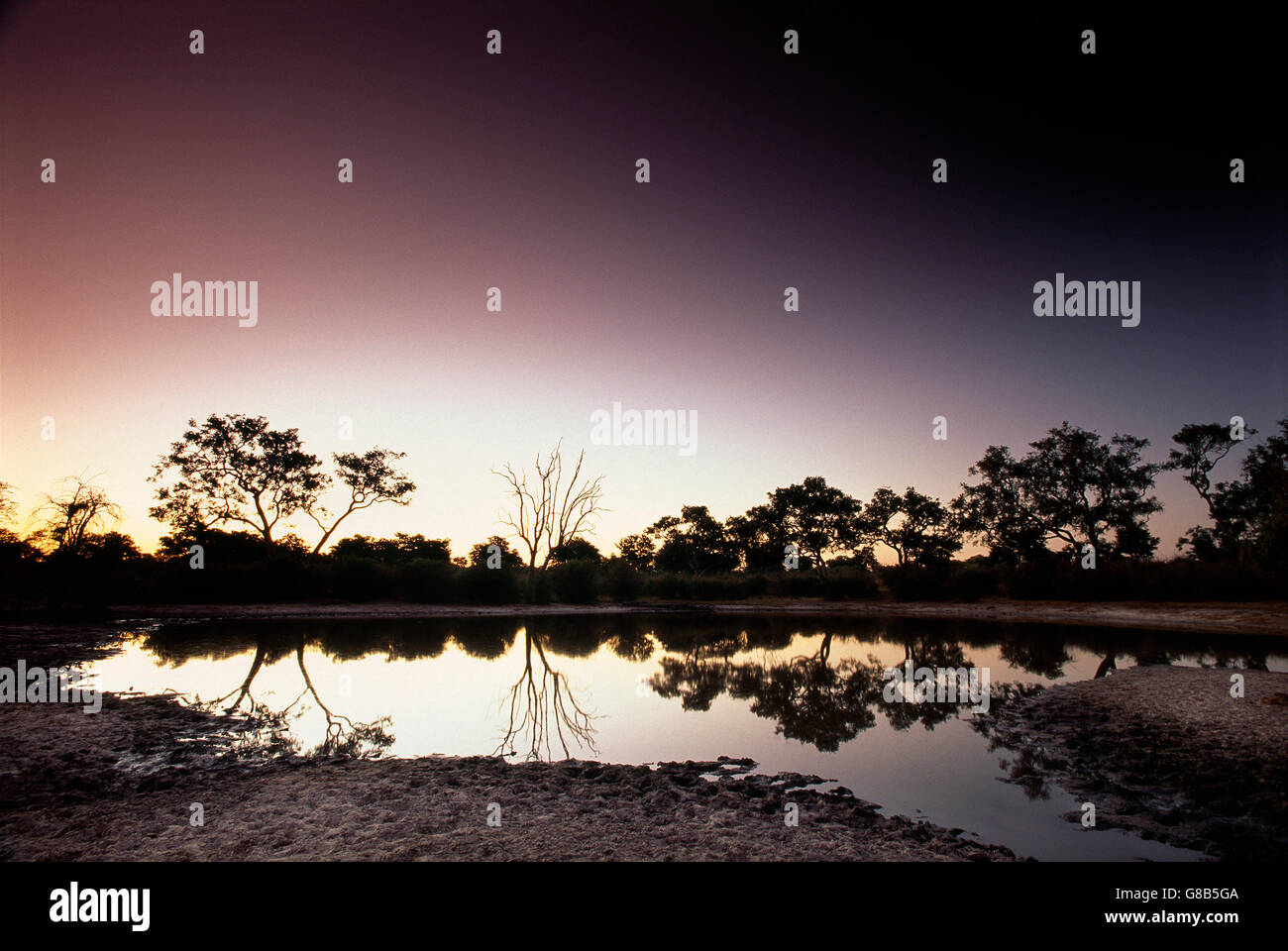 Tambiko Pan, Nogatsaa, Chobe, Botswana Stockfoto