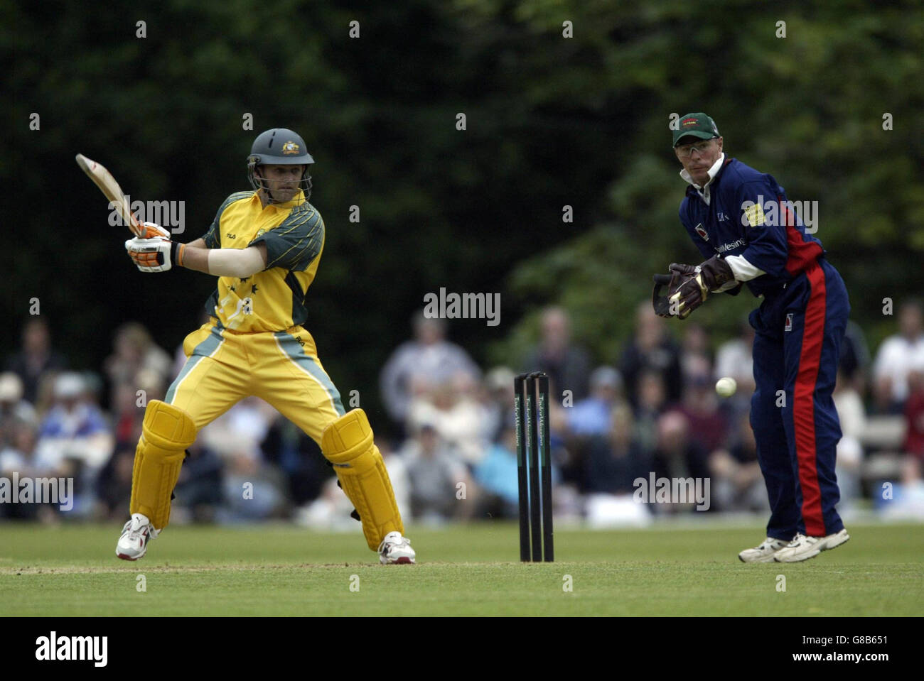 Cricket - PCA Meister XI V Australien - Arundel Castle Stockfoto