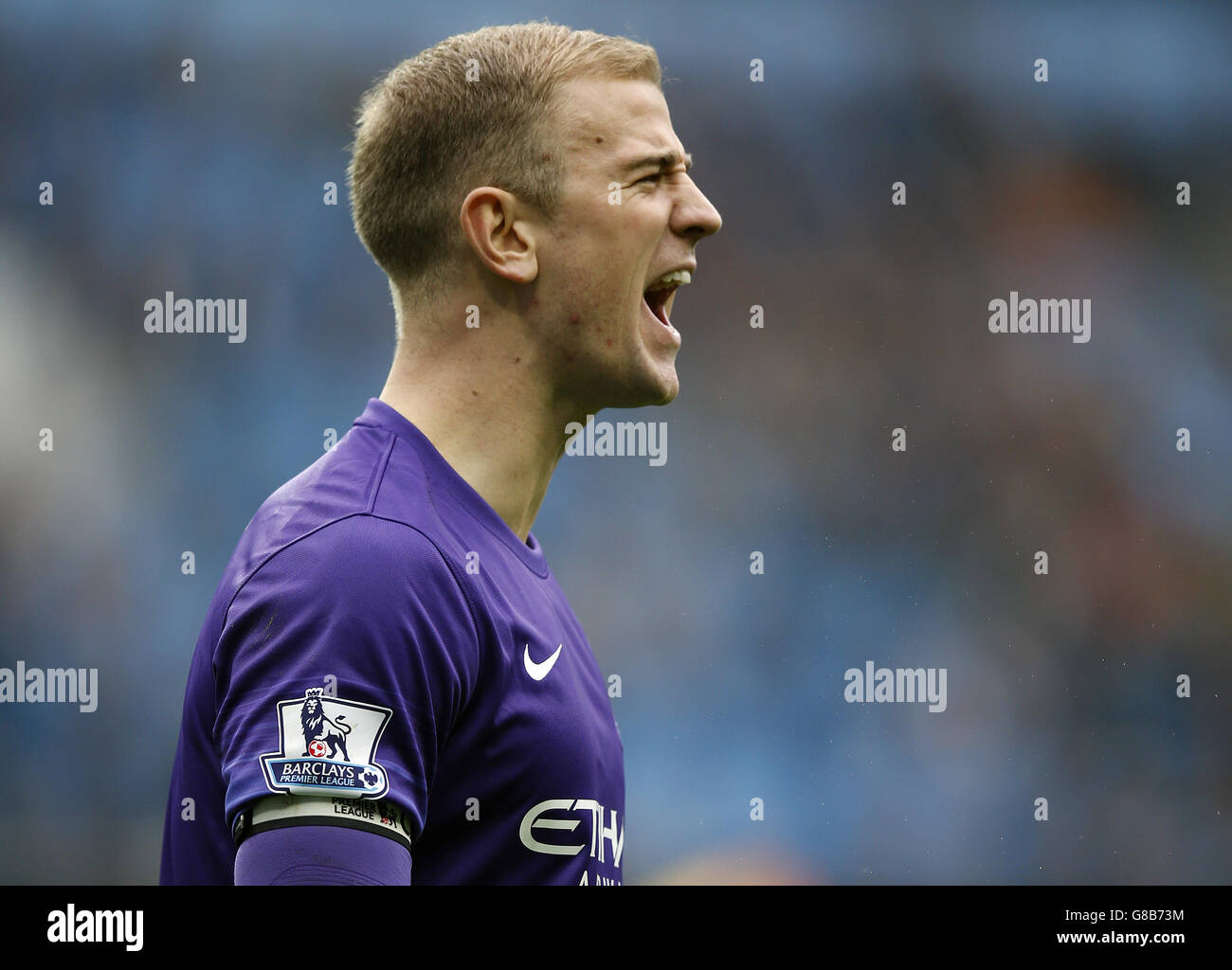 Fußball - Barclays Premier League - Manchester City gegen Newcastle United - Etihad Stadium Stockfoto