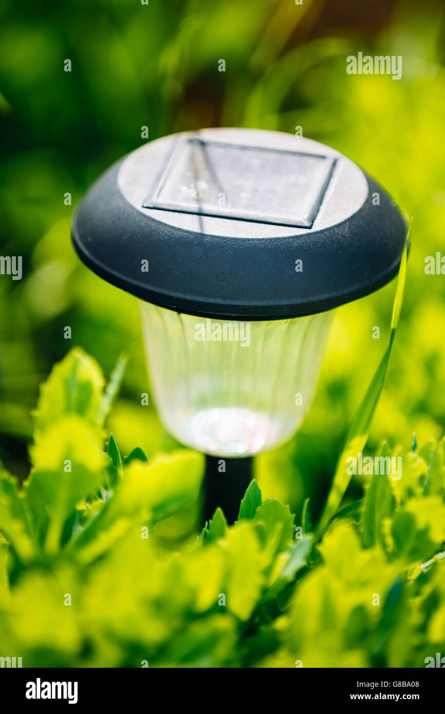 Kleine Solar Garten Licht, Laternen im Blumenbeet. Garten-Design. Solar  betriebene Lampe Stockfotografie - Alamy