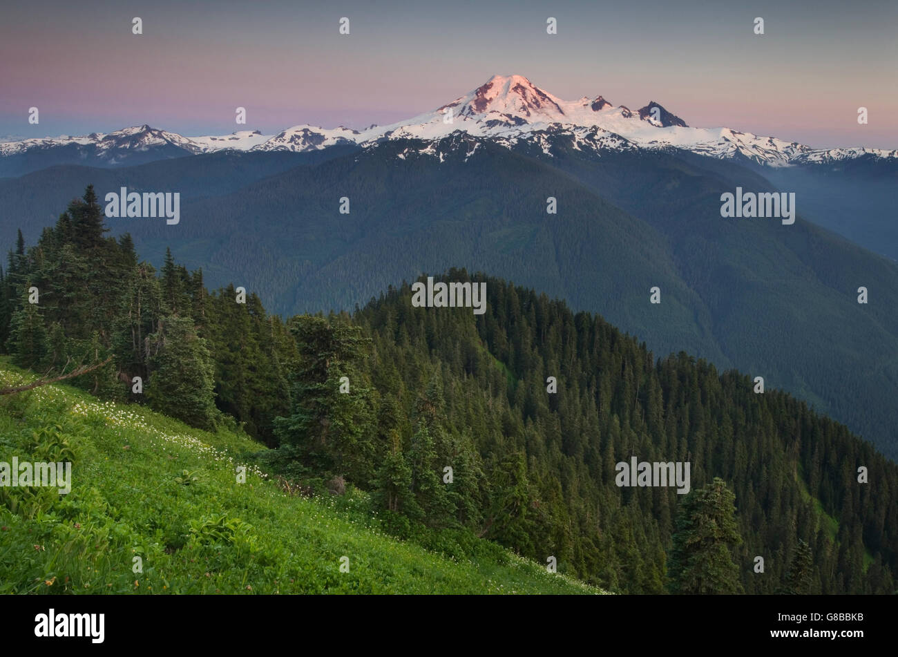 Mount Baker von Wiese hängen der Kirche Berg, Mount Baker Wildnis North Cascades Washington gesehen Stockfoto