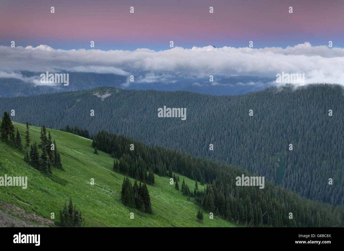 Alpenglühen auf Skyline teilen, Mount Baker Wildnis North Cascades Washington Stockfoto
