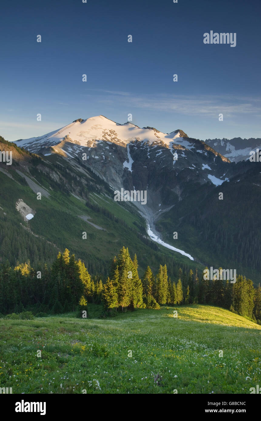 Ruth Berg von Wildblumenwiesen Hannegan Gipfel, Mount Baker Wildnis North Cascades Washington gesehen Stockfoto