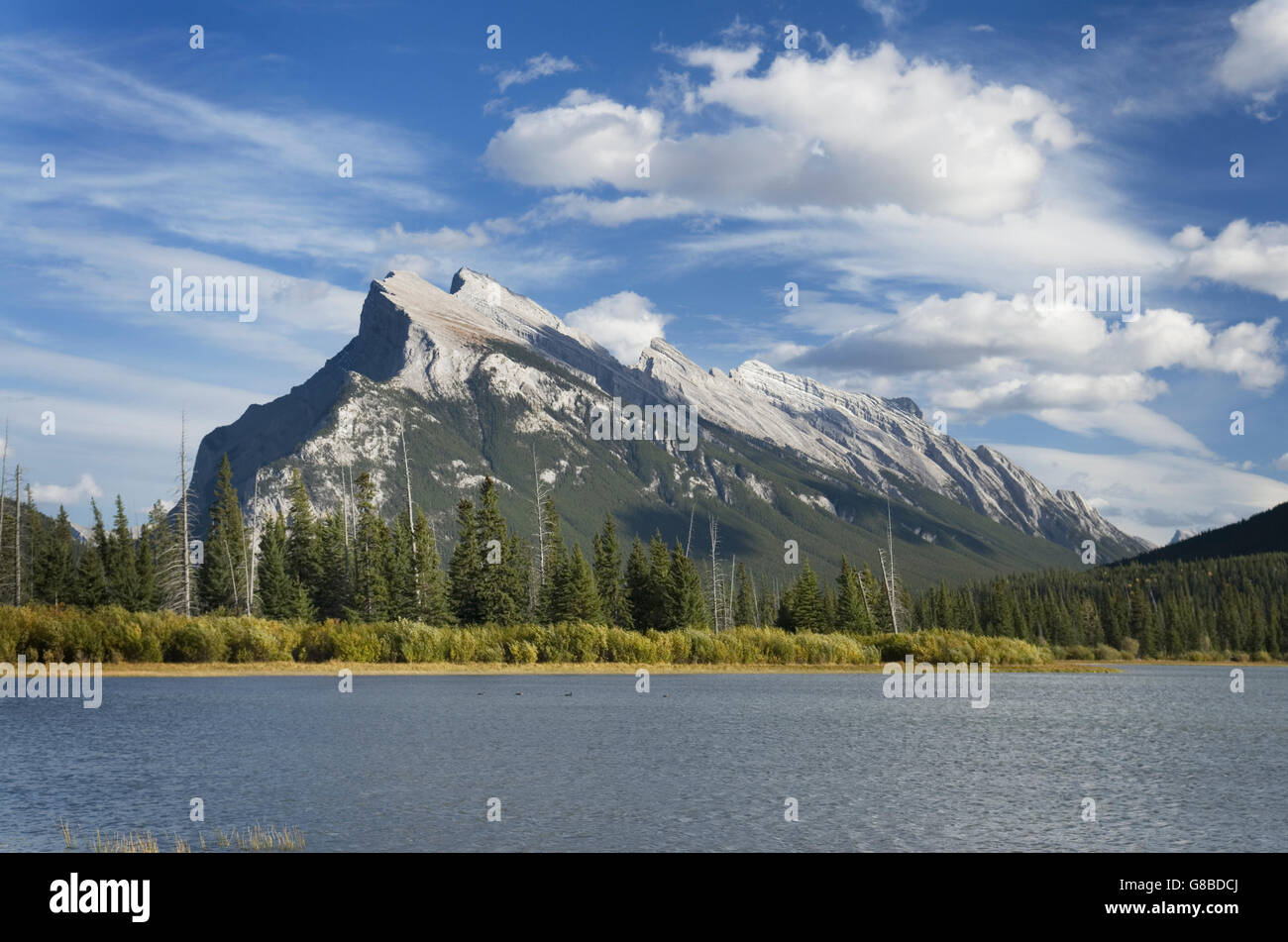 Mount Rundle gesehen von Vermilion Lakes, Banff Nationalpark Stockfoto