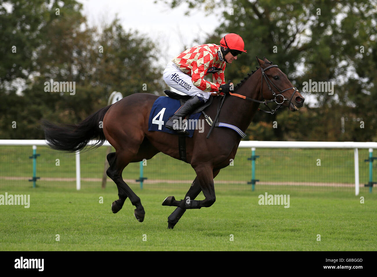 Jockey Nick Scholfield geht nach Shimba Hills in Die 32Red Casino Handicap Hürde Stockfoto