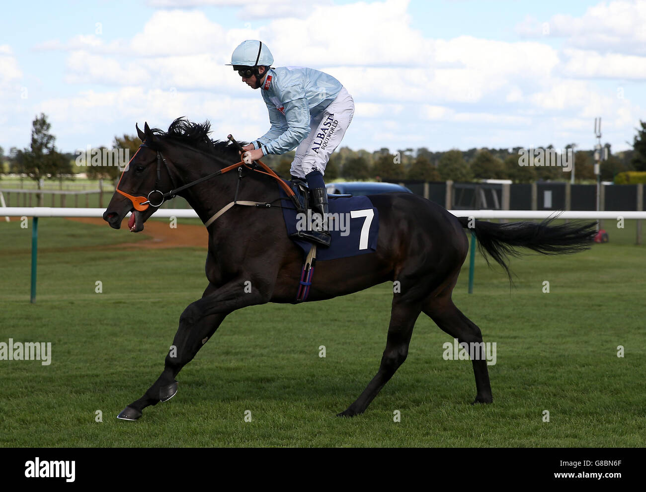 Premier Currency geritten von Jockey Cam Hardie geht, um während des Tages eines der Cambridgeshire Meeting auf Newmarket Racecourse. Stockfoto