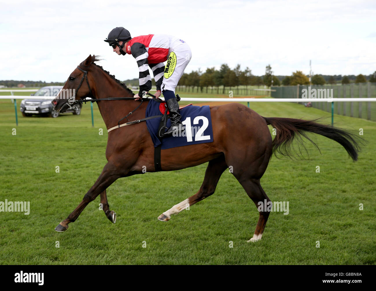 Pferderennen - The Cambridgeshire Meeting - Tag 1 - Newmarket Racecourse. Refuse Colette, die von Jockey William Carson geritten wird, geht während des ersten Tages zum Cambridgeshire Meeting auf der Newmarket Racecourse. Stockfoto