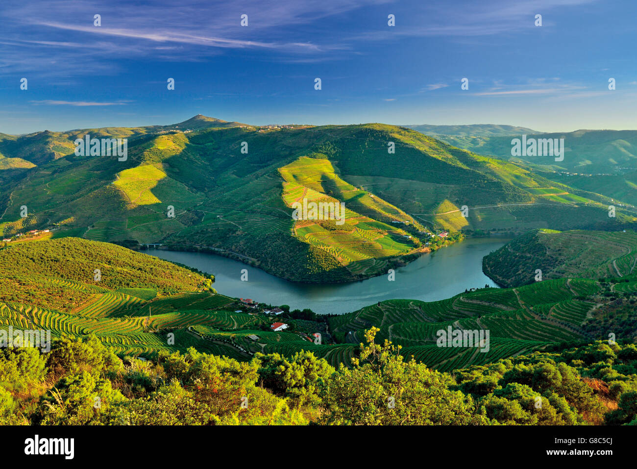 Portugal: Spektakuläre Aussicht auf den Fluss Douro im Nachmittag Licht Stockfoto