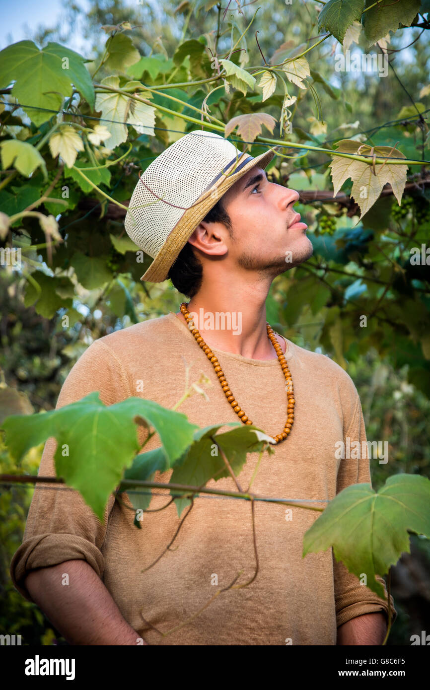 Seitenansicht des stattlichen jungen Mann in Hut Toching Rebe lässt im Garten in der Sonne Stockfoto