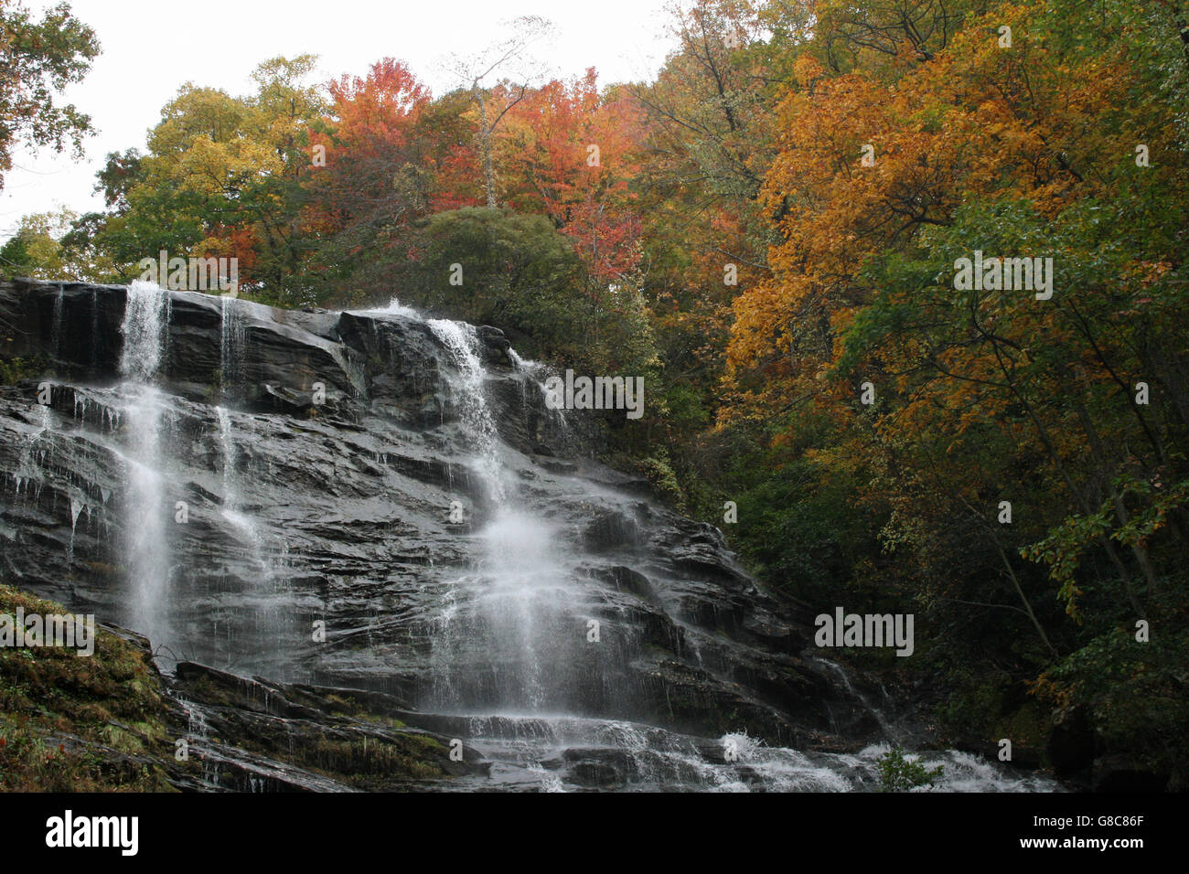 Kaskadierende Amicalola Falls im Herbst Stockfoto