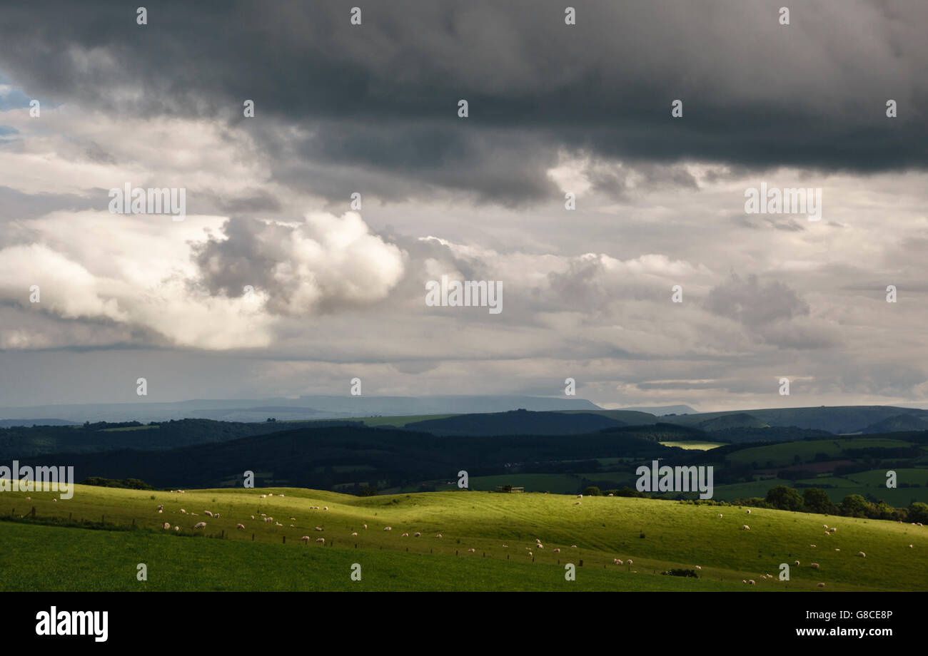 Blick auf Landschaft an der walisischen Grenze in der Nähe von Knighton, Powys, UK, an einem stürmischen Tag. Die schwarzen Berge liegen in weiter Ferne Stockfoto