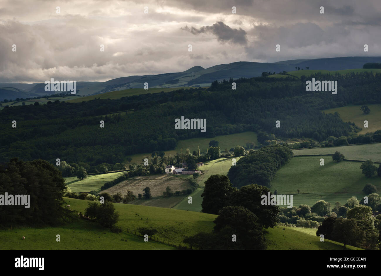 Blick auf Landschaft an der walisischen Grenze in der Nähe von Knighton, Powys, UK, an einem stürmischen Tag. Der konische Hügel am Horizont ist die Whimble Stockfoto