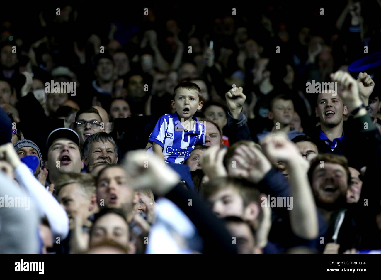 Fußball - Capital One Cup - vierte Runde - Sheffield Mittwoch / Arsenal - Hillsborough. Die Fans von Sheffield Wednesday feiern ihr zweites Tor Stockfoto