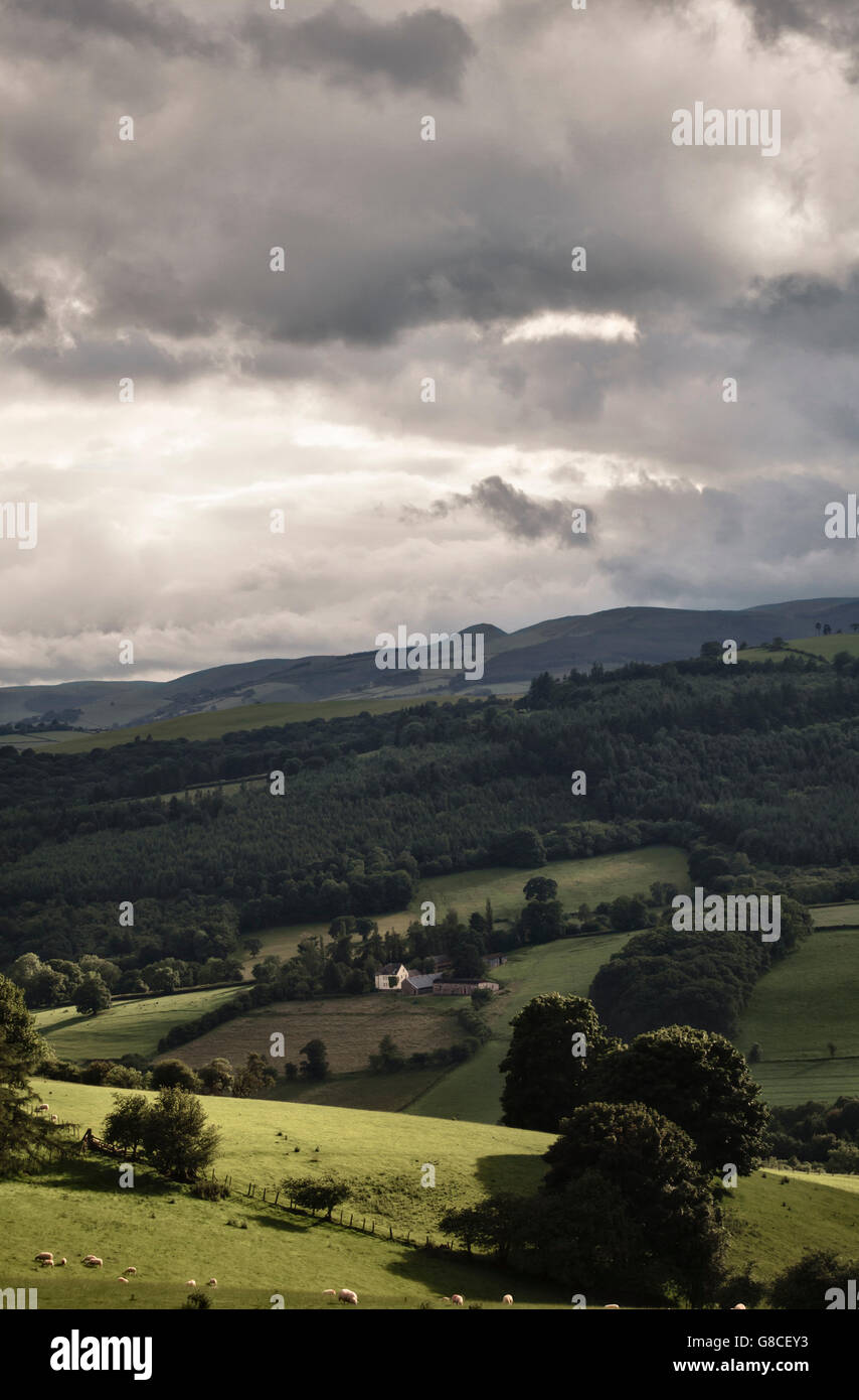 Blick auf Landschaft an der walisischen Grenze in der Nähe von Knighton, Powys, UK, an einem stürmischen Tag. Der konische Hügel am Horizont ist die Whimble Stockfoto