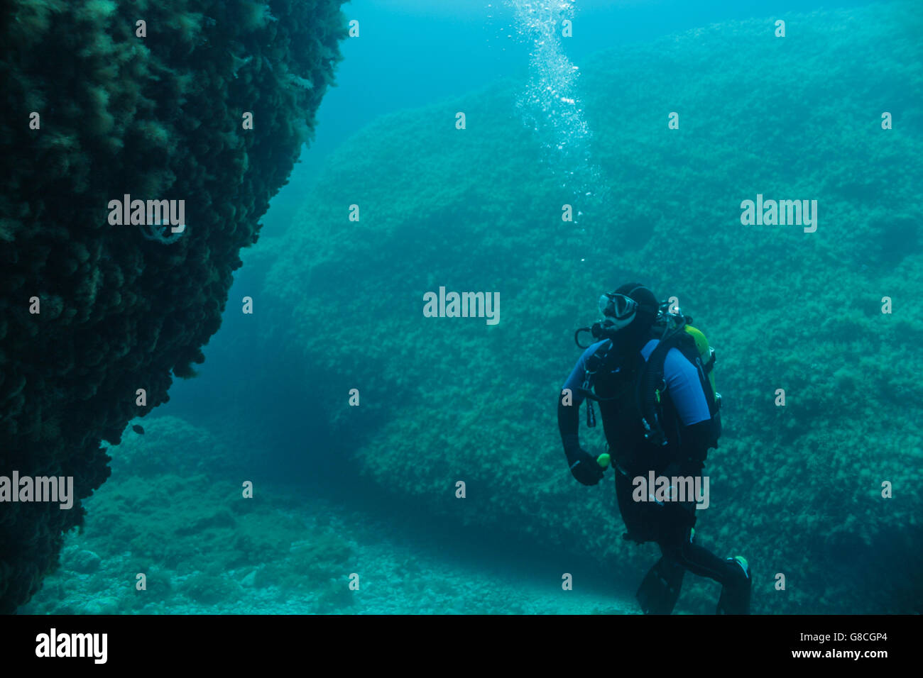 Scuba Diver untersucht ein Riff. Stockfoto