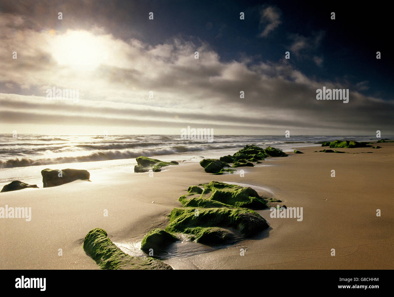 Skelettküste, Atlantik, Namibia. Stockfoto