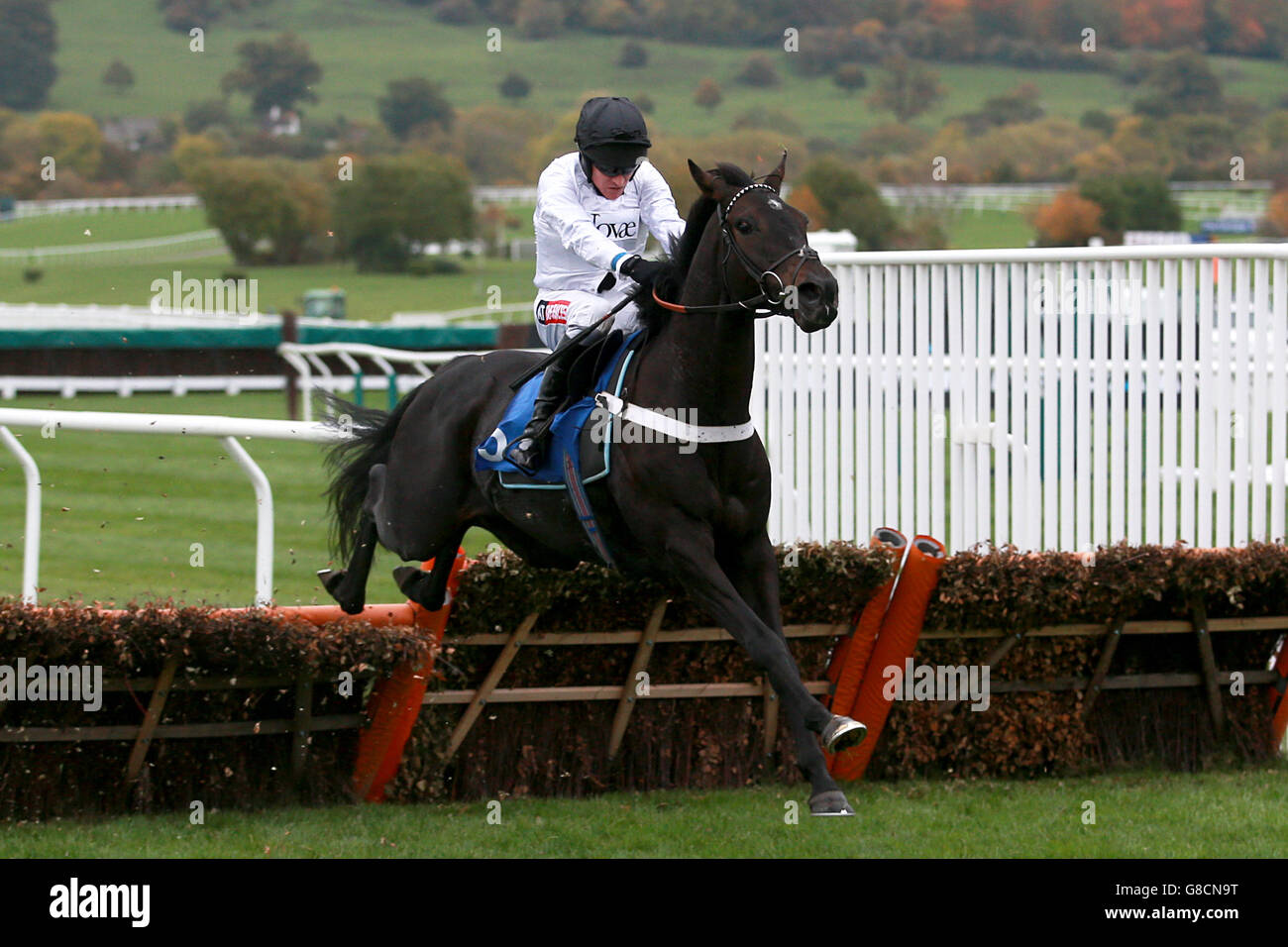 Berichtenswert geritten von Barry Geraghty während der Bet and Watch Bei Winner.co.uk Mädchen Hürde Stockfoto