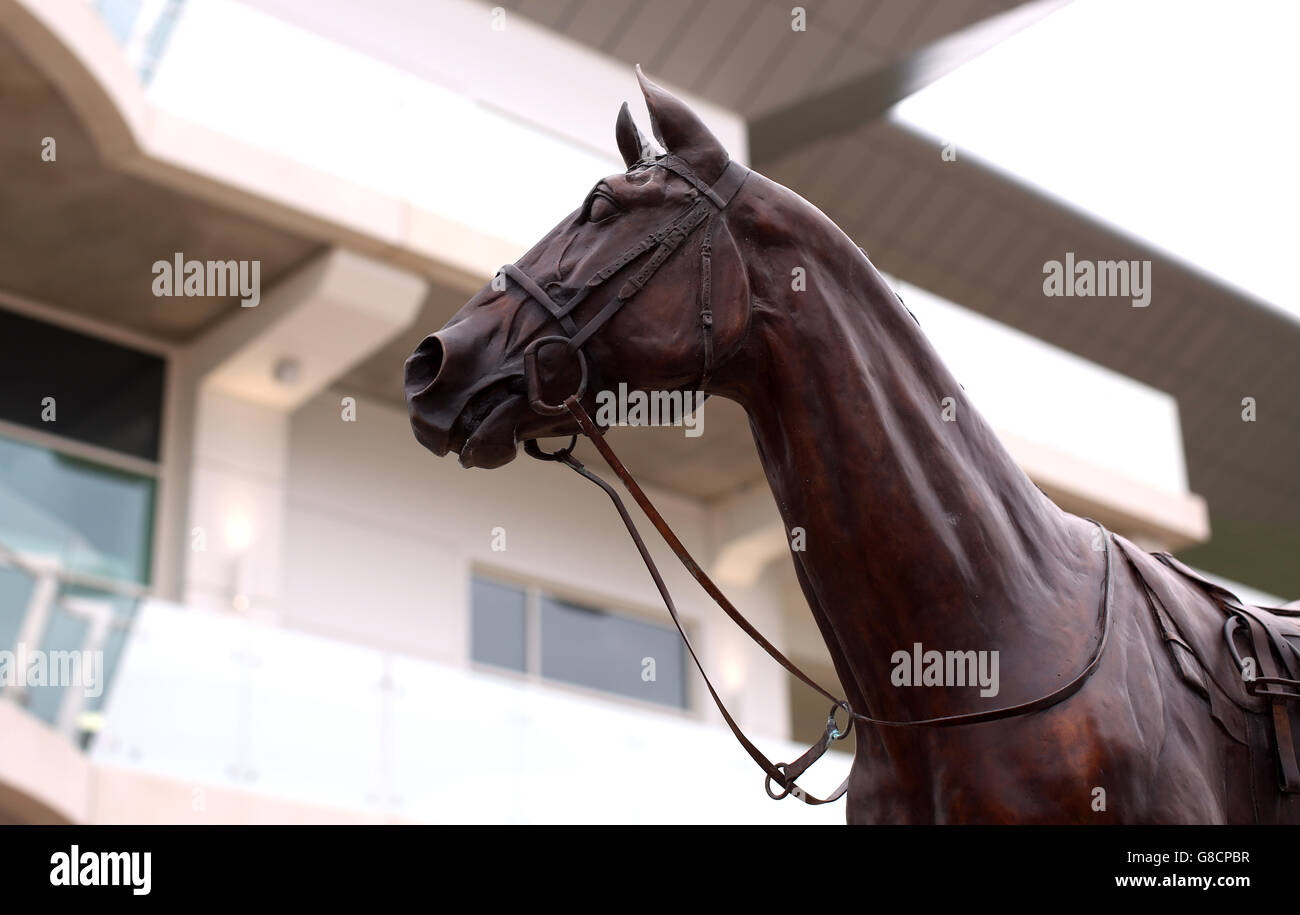 Horse Racing - Showcase - Tag eins - Cheltenham Racecourse Stockfoto
