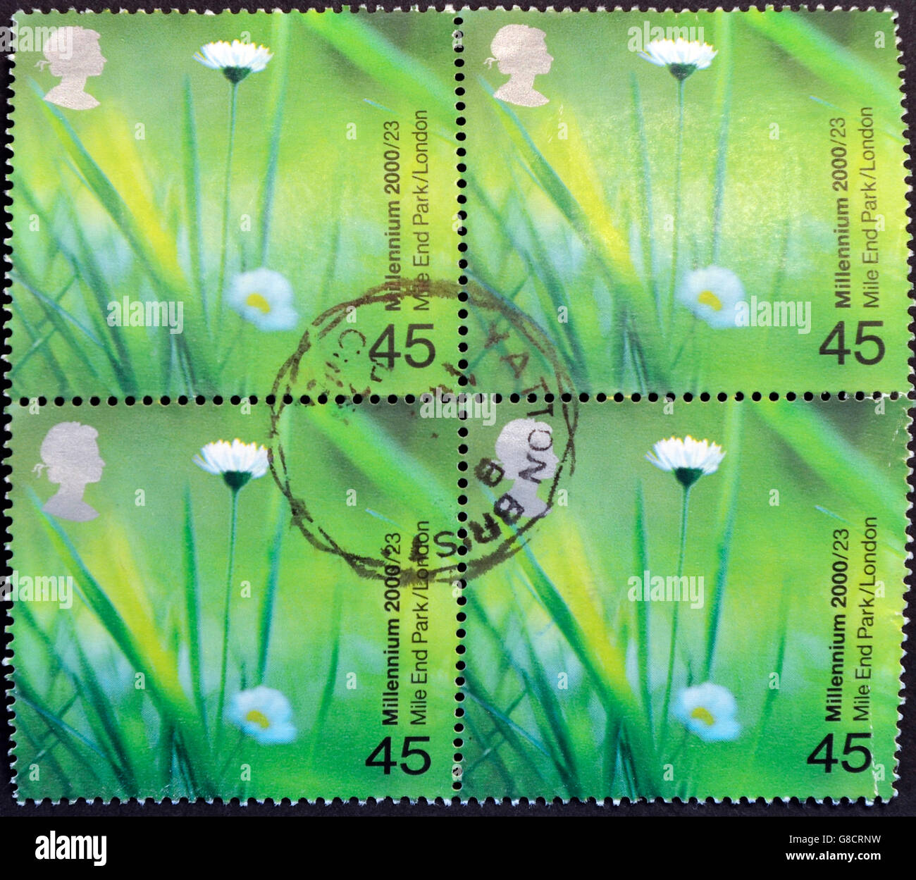 Vereinigtes Königreich - CIRCA 2000: Briefmarke gedruckt in Großbritannien zeigt Gänseblümchen (Mile End Park, London, circa 2000 Stockfoto