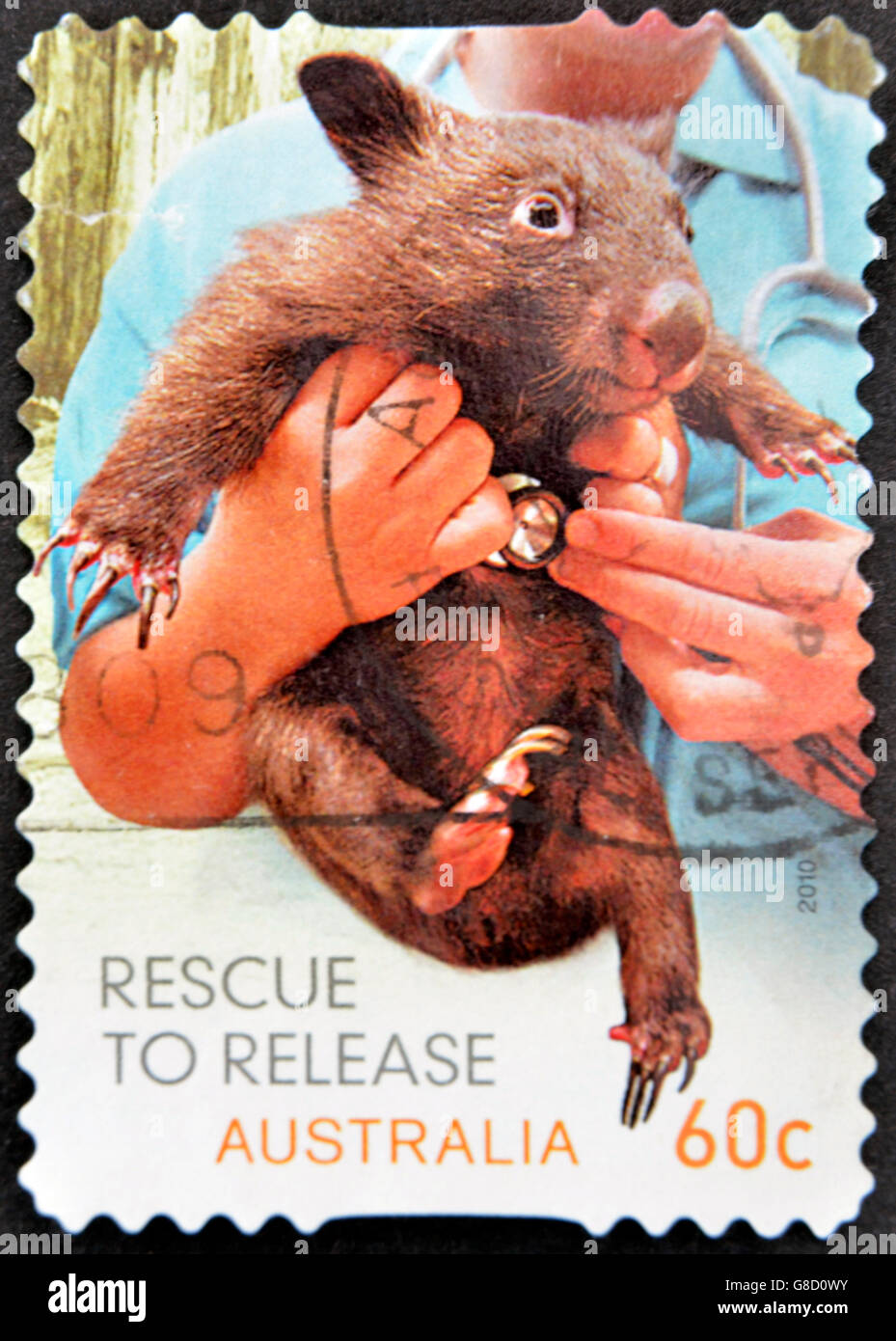Australien - ca. 2010: Eine Briefmarke gedruckt in Australien zeigt Tasmanischer Teufel gerettet, ca. 2010 Stockfoto