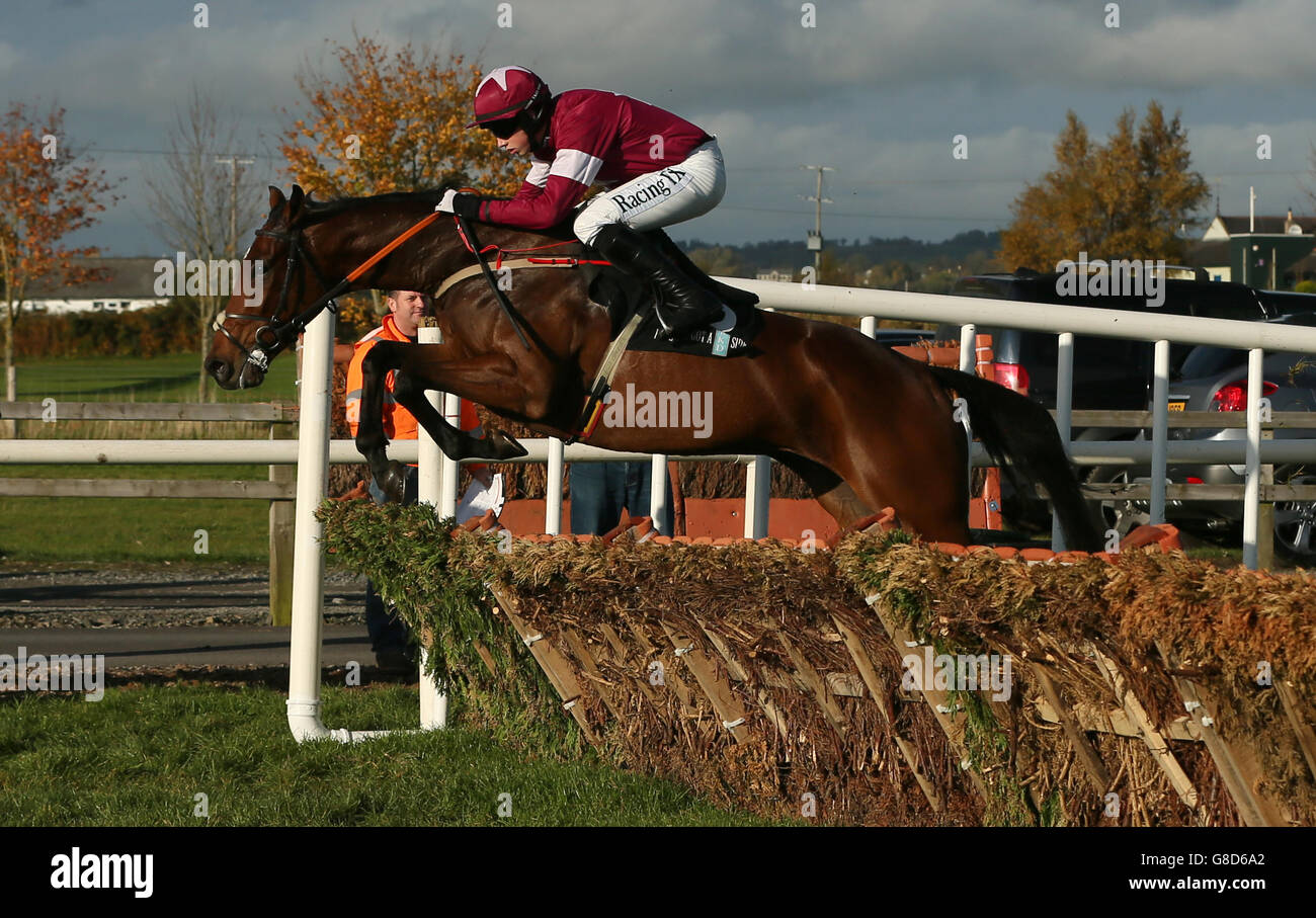 Pferderennen Sie-2015 Nordirland Festival von Racing - Day One - Down Royal Racecourse Stockfoto