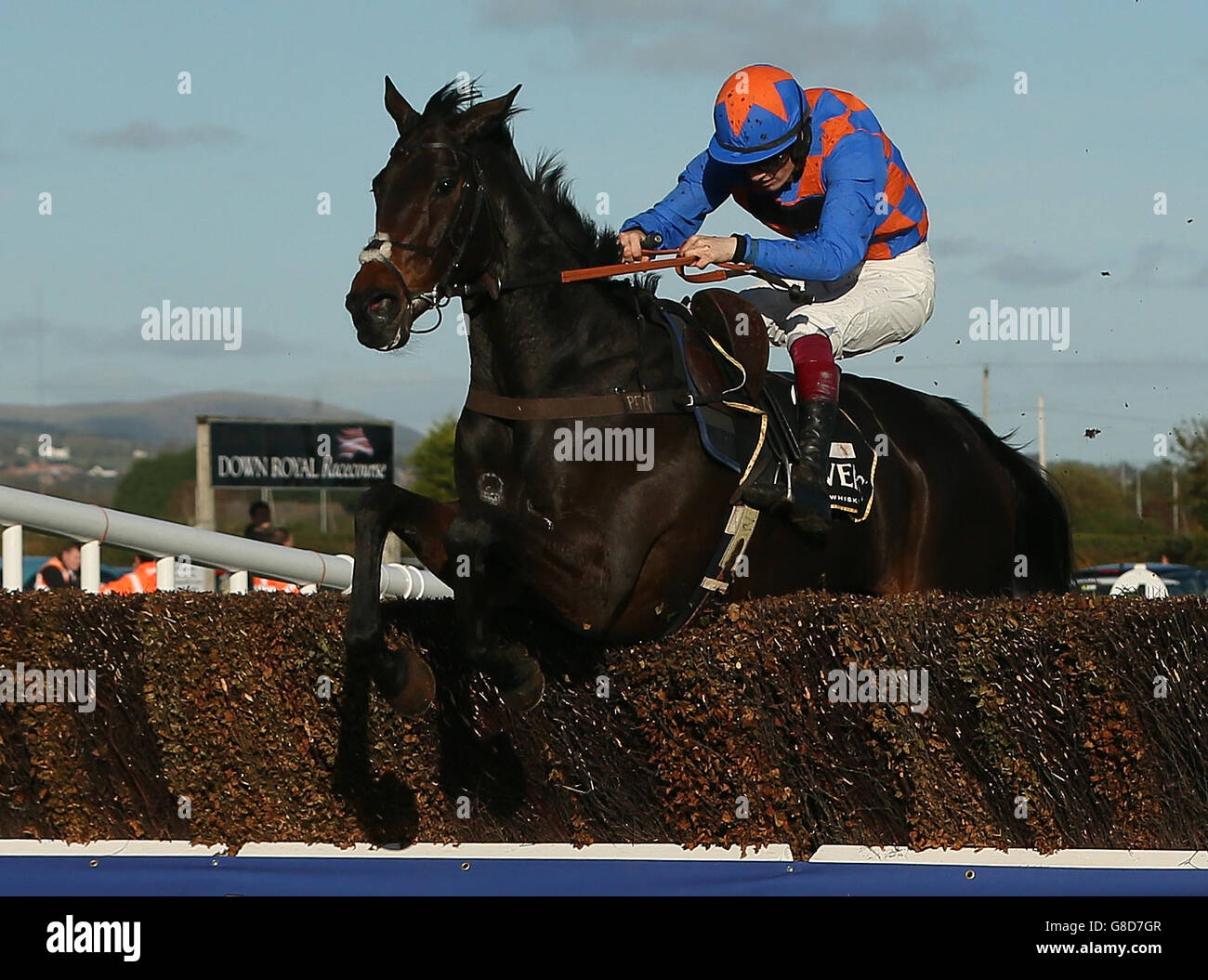 Horse Racing - 2015 Nordirland Festival des Rennsports - Tag zwei - Down Royal Racecourse Stockfoto