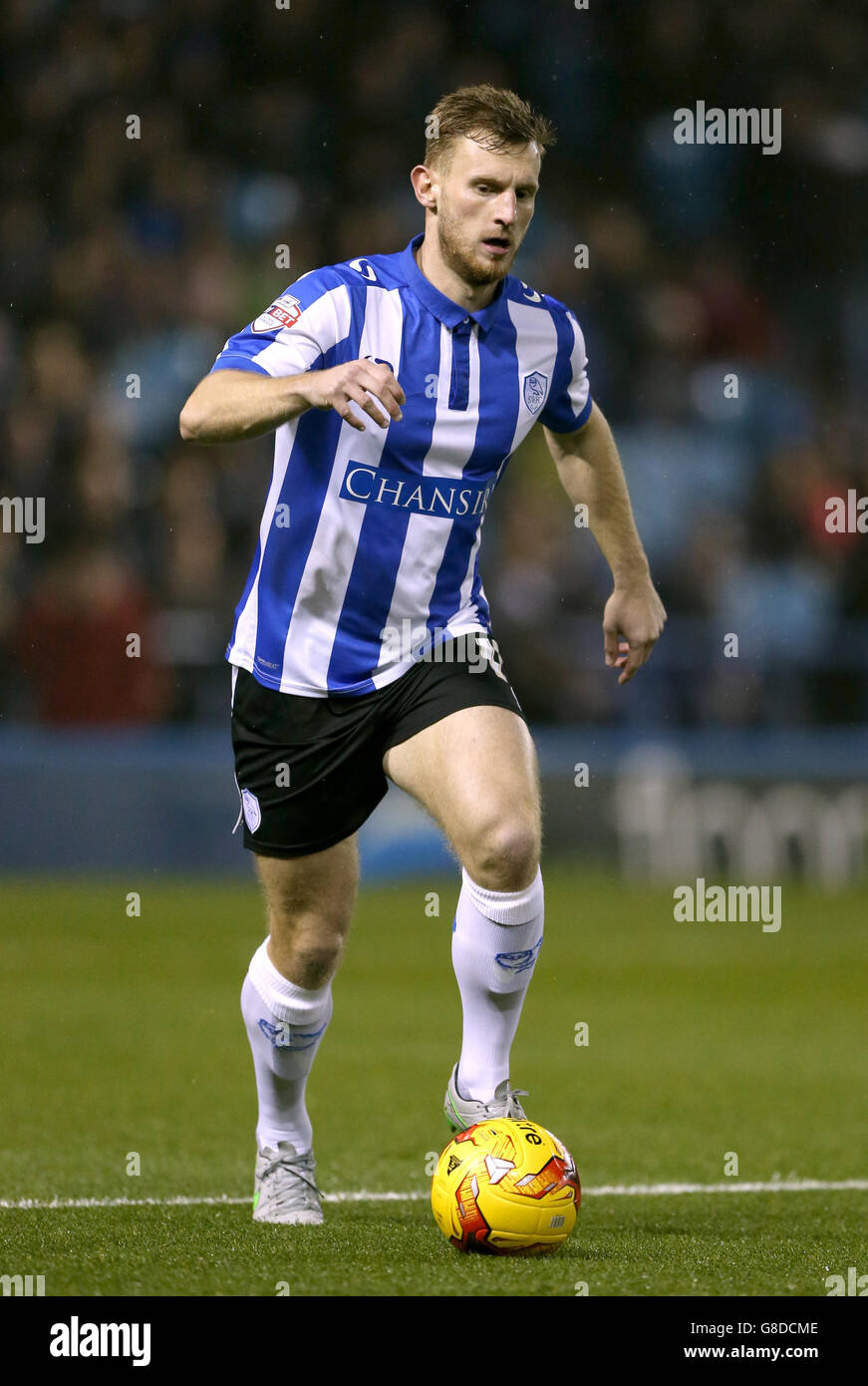 Fußball - Himmel Bet Meisterschaft - Sheffield Wednesday V Brighton und Hove Albion - Hillsborough Stockfoto