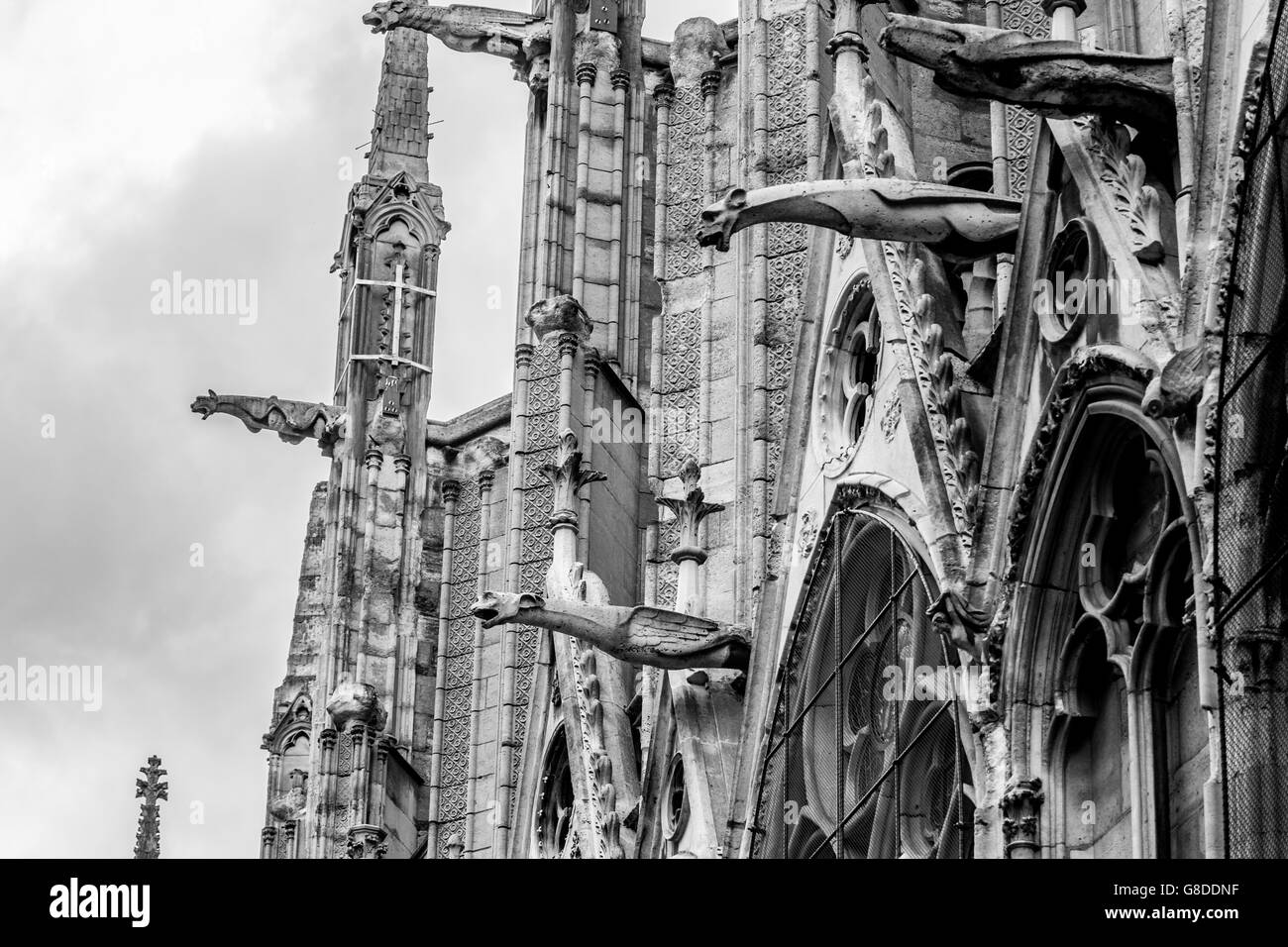 Kathedrale Notre-Dame, Paris, Frankreich Stockfoto