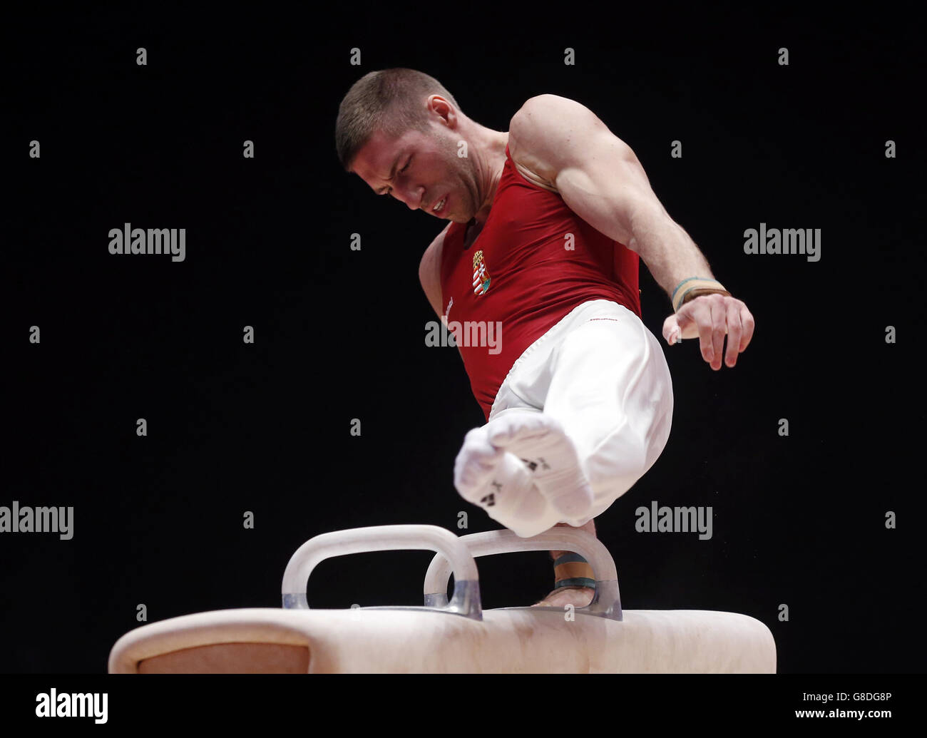 Gymnastik - Weltmeisterschaften 2015 - Tag vier - das SSE Hydro. Der ungarische Krisztian Berki tritt am vierten Tag der Weltmeisterschaften 2015 beim SSE Hydro in Glasgow auf dem Pommel Horse an. Stockfoto