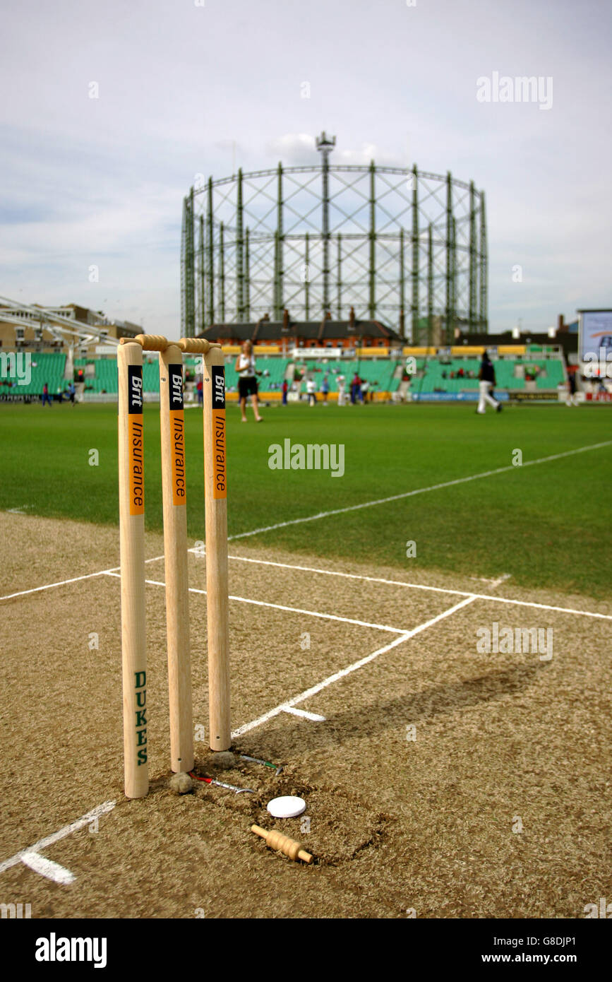 Cricket - International Twenty20 - Asien XI V International XI - The Brit Oval Stockfoto