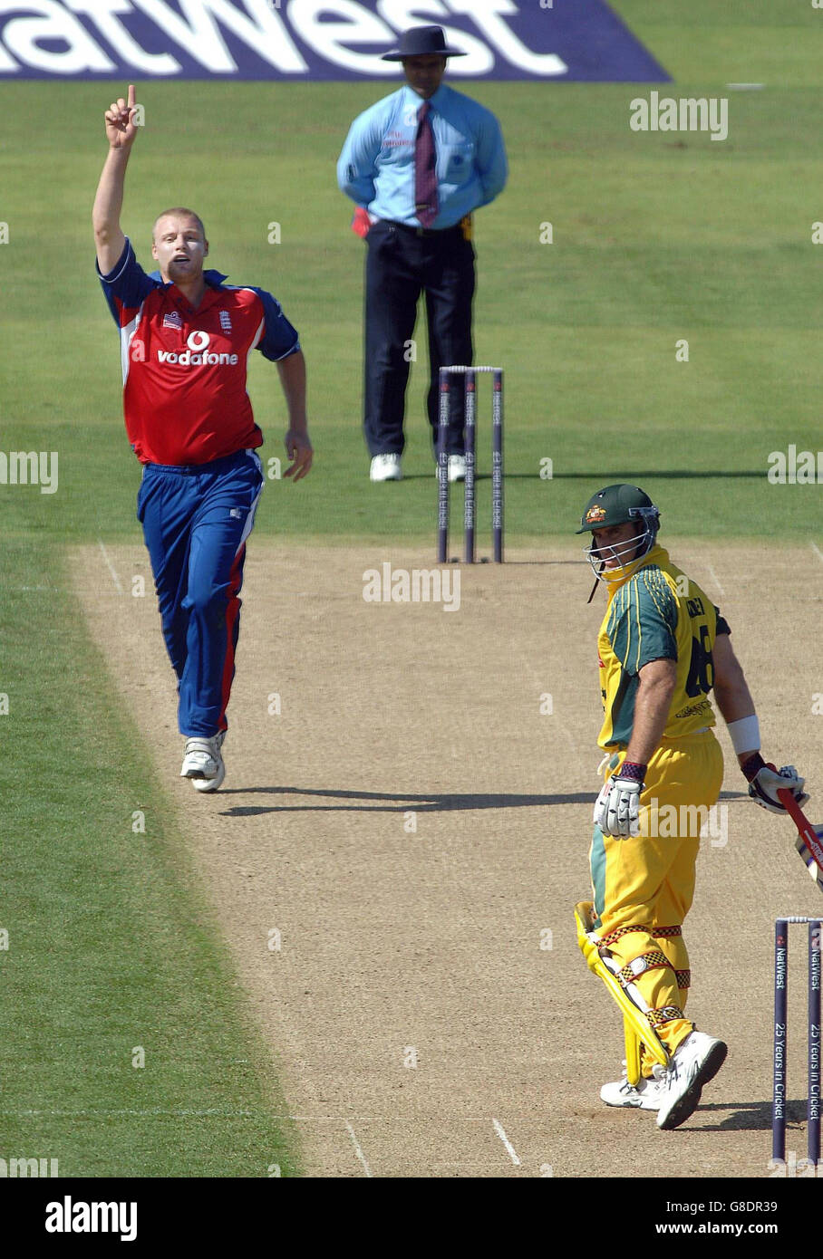 Cricket - The NatWest International Triangular Series - England - Australien - Riverside. Der englische Andrew Flintoff feiert das Dickicht des australischen Matthew Hayden. Stockfoto