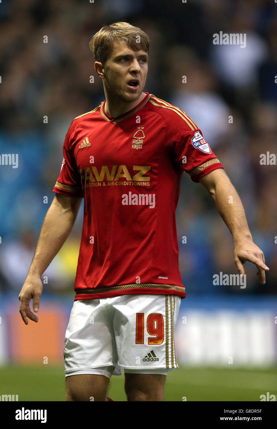 Fußball - Sky Bet Championship - Sheffield Mittwoch gegen Nottingham Forest - Hillsborough. Jamie Ward, Nottingham Forest Stockfoto