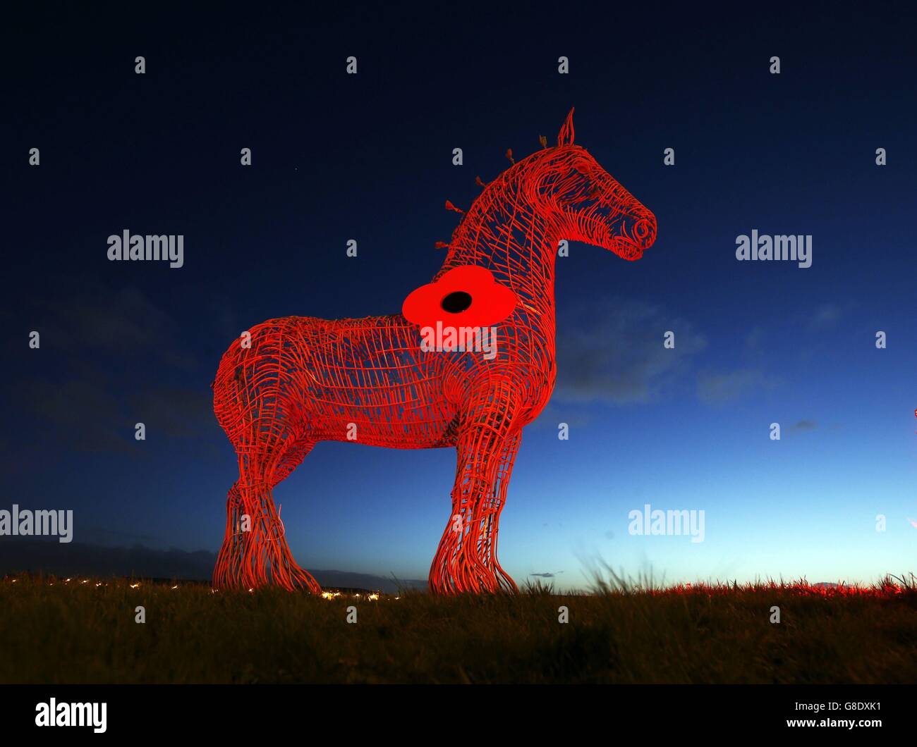 Die Statue des schweren Pferdes in Baillieston auf der M8 in Schottland, vom figurativen Bildhauer Andy Scott, wird mit einem roten Licht beleuchtet, um den diesjährigen Scottish Poppy Appeal zu markieren. Stockfoto