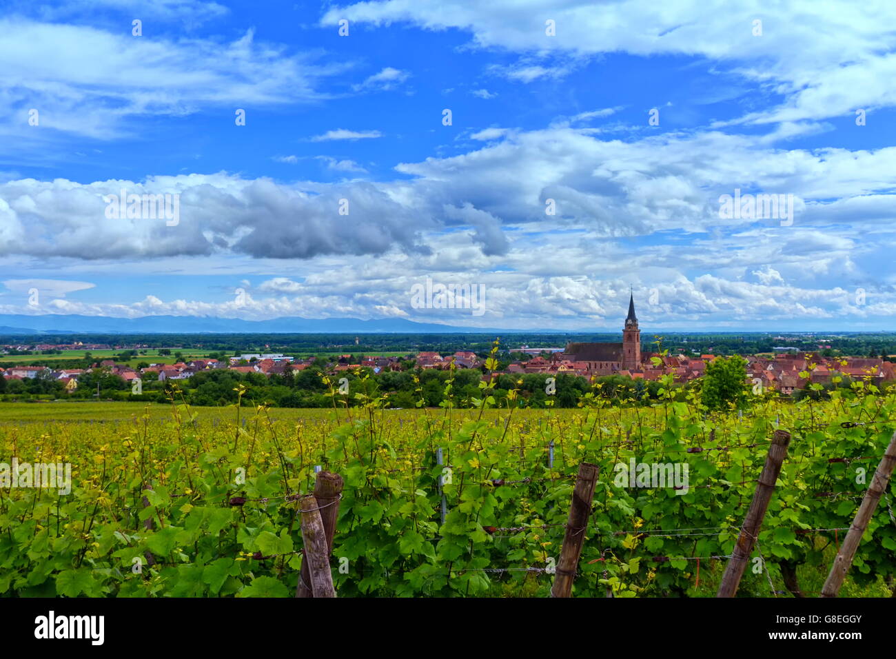 Blick auf Saint-Hyppolyte und Weinberg von schöner Tag, Elsass, Frankreich Stockfoto