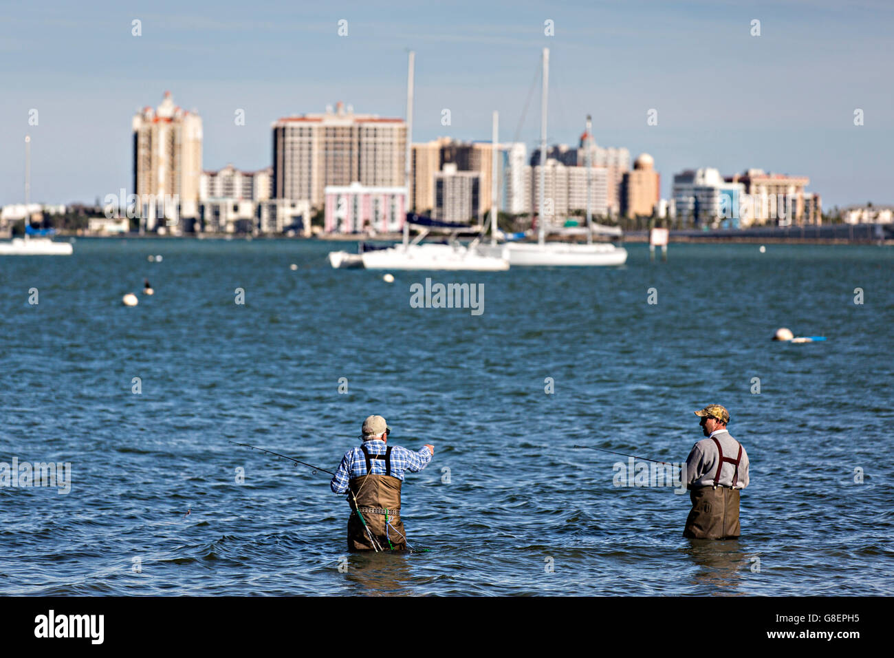 Fischer waten in Sarasota Bay in Sarasota, Florida. Stockfoto