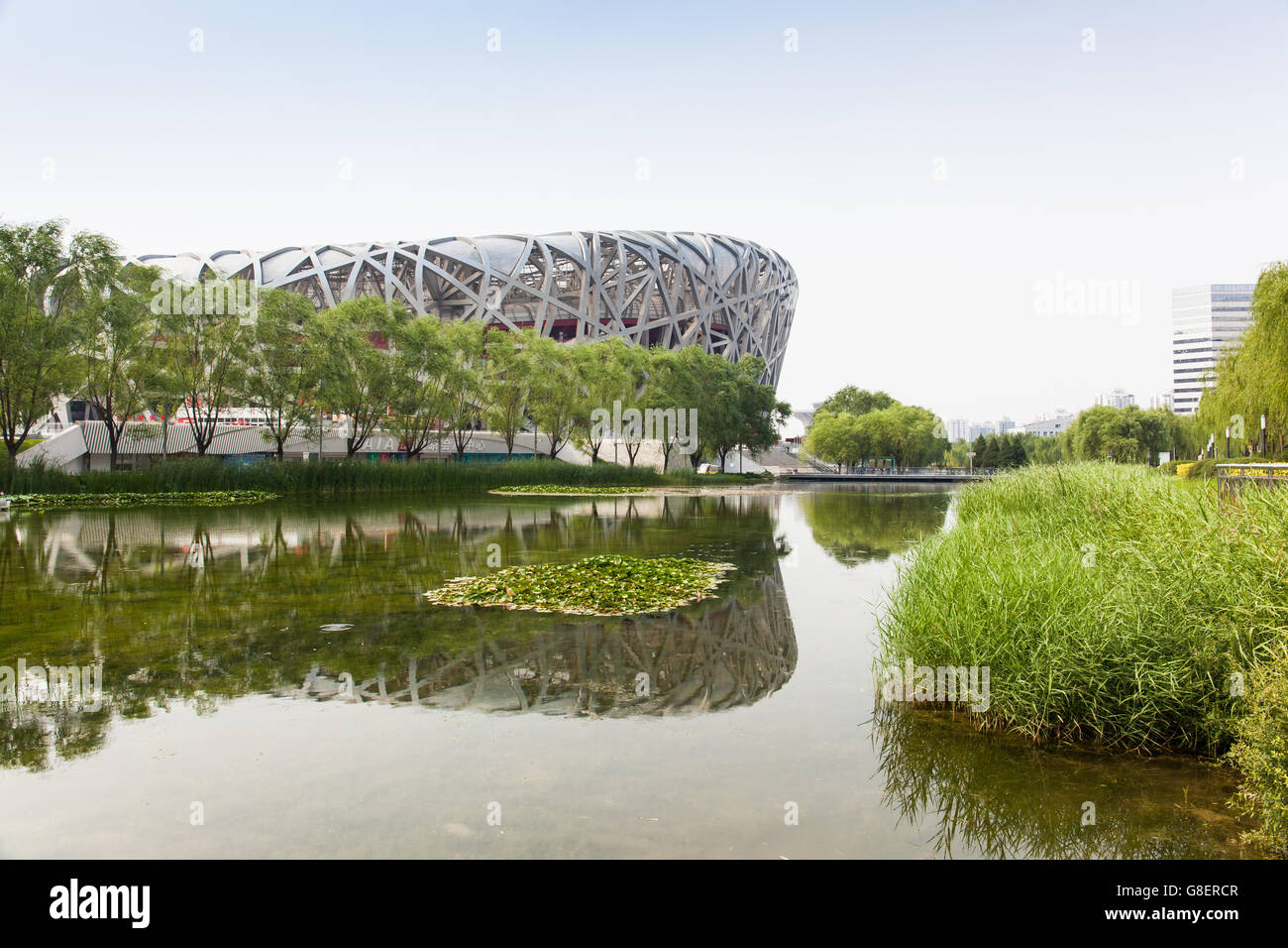 Peking, China - 20. Juni 2016: Blick auf das Nationalstadion mit seinen Überlegungen auf dem Wasser auf der Beijing Olympic Park. Stockfoto