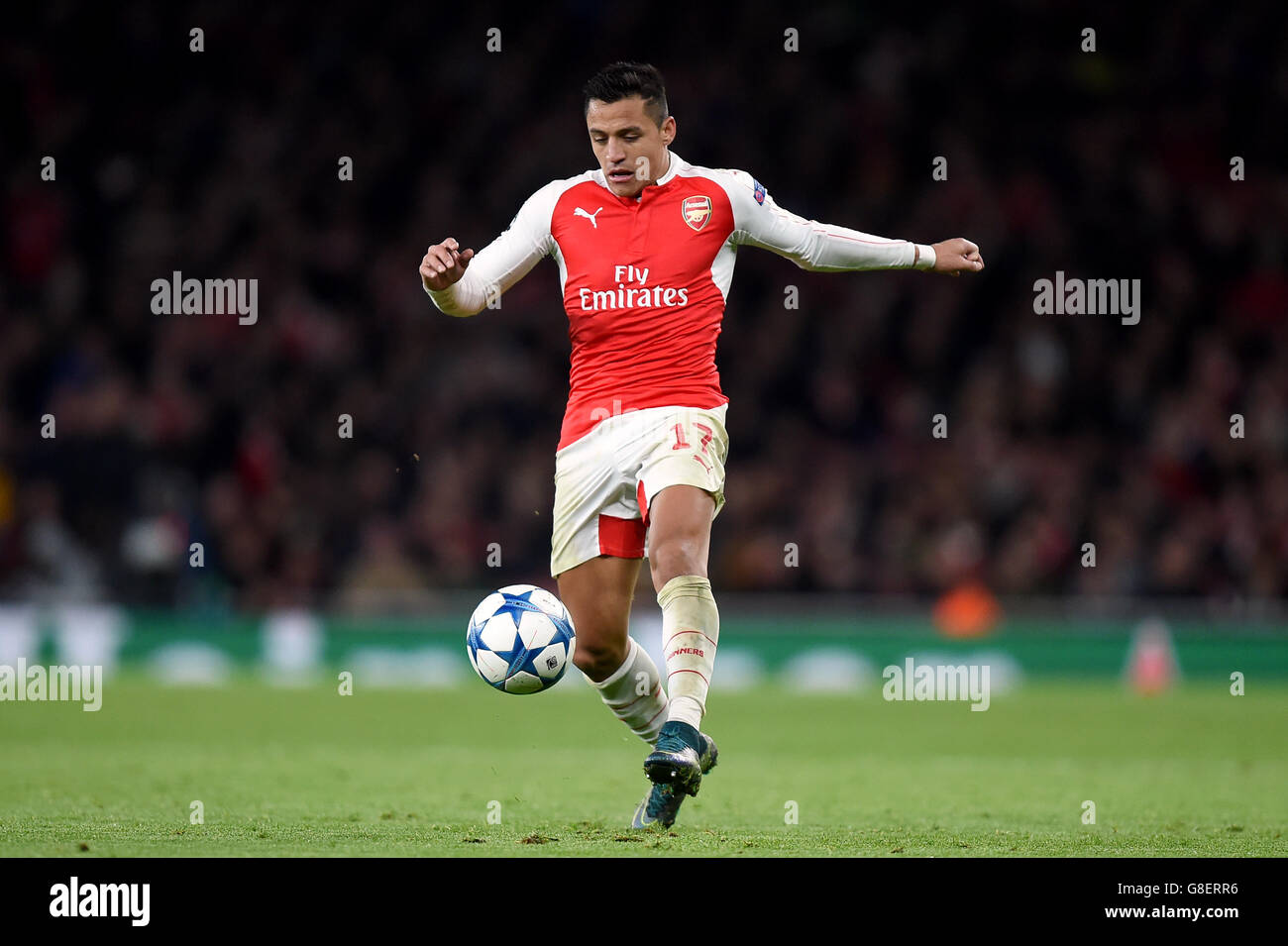 Alexis Sanchez von Arsenal während des UEFA Champions League-, Gruppen-F-Spiels im Emirates Stadium, London. DRÜCKEN SIE VERBANDSFOTO. Bilddatum: Dienstag, 24. November 2015. Siehe PA Geschichte FUSSBALL Arsenal. Bildnachweis sollte lauten: Andrew Matthews/PA Wire. Stockfoto